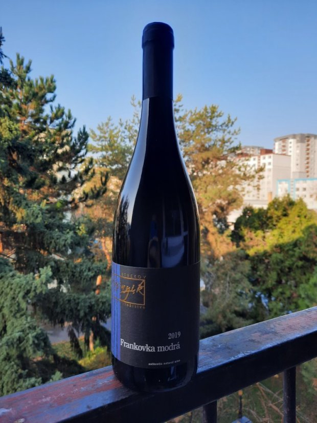 Frankovka modrá 2021 Vinárstvo Kasnyik
