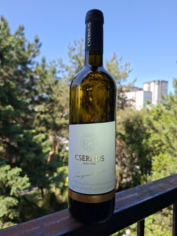 Sauvignon blanc 2025 Csernus