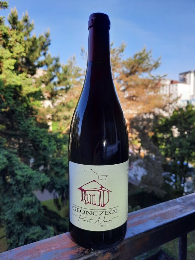 Pinot noir 2021 Geonczeol