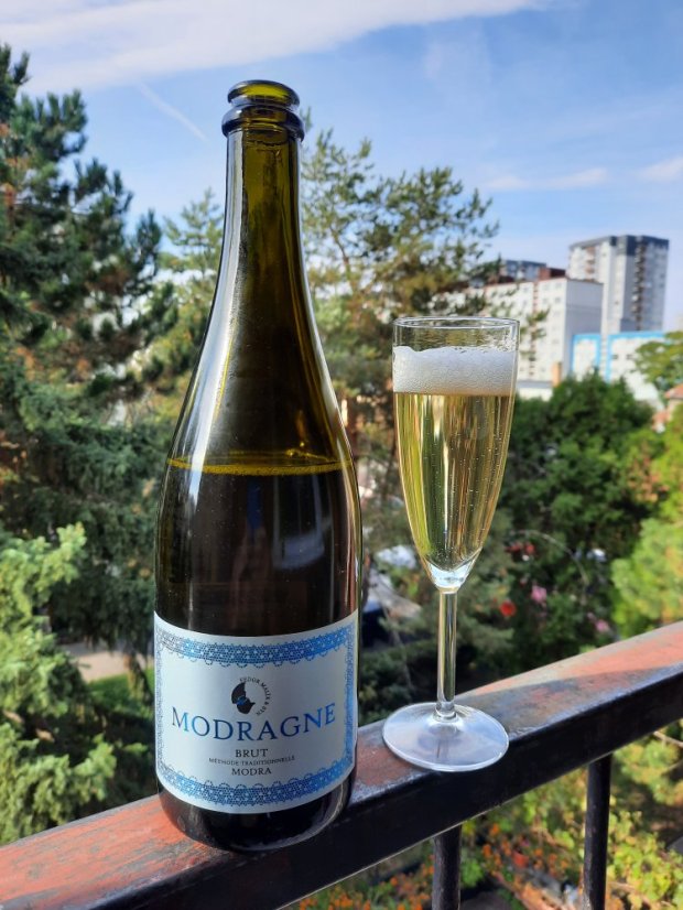 Modragne 1 - Rulandské šedé Fedor Malík