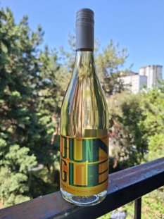 "Jungle" pinot blanc 2025 Juran z Modry