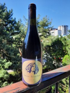 Pinot noir 2019 Zuzana Barnáková